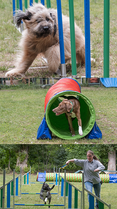 Agility_03 Agility
