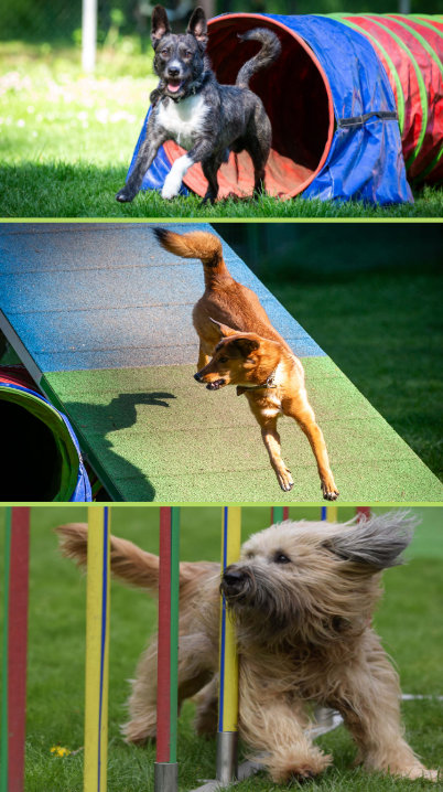 Agility Agility